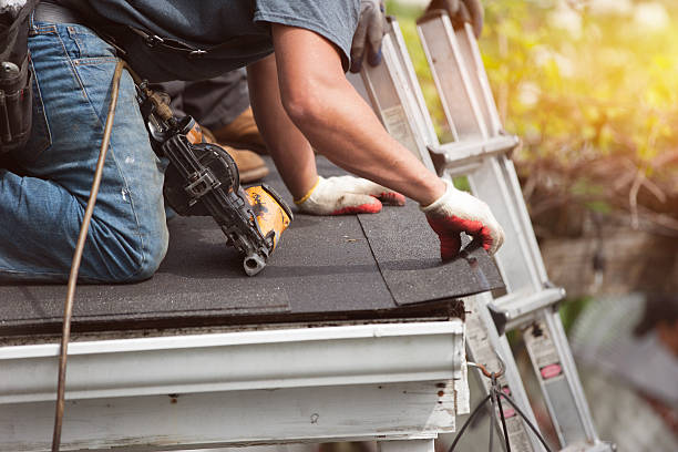 Best Roof Gutter Cleaning  in Oak Grove, LA